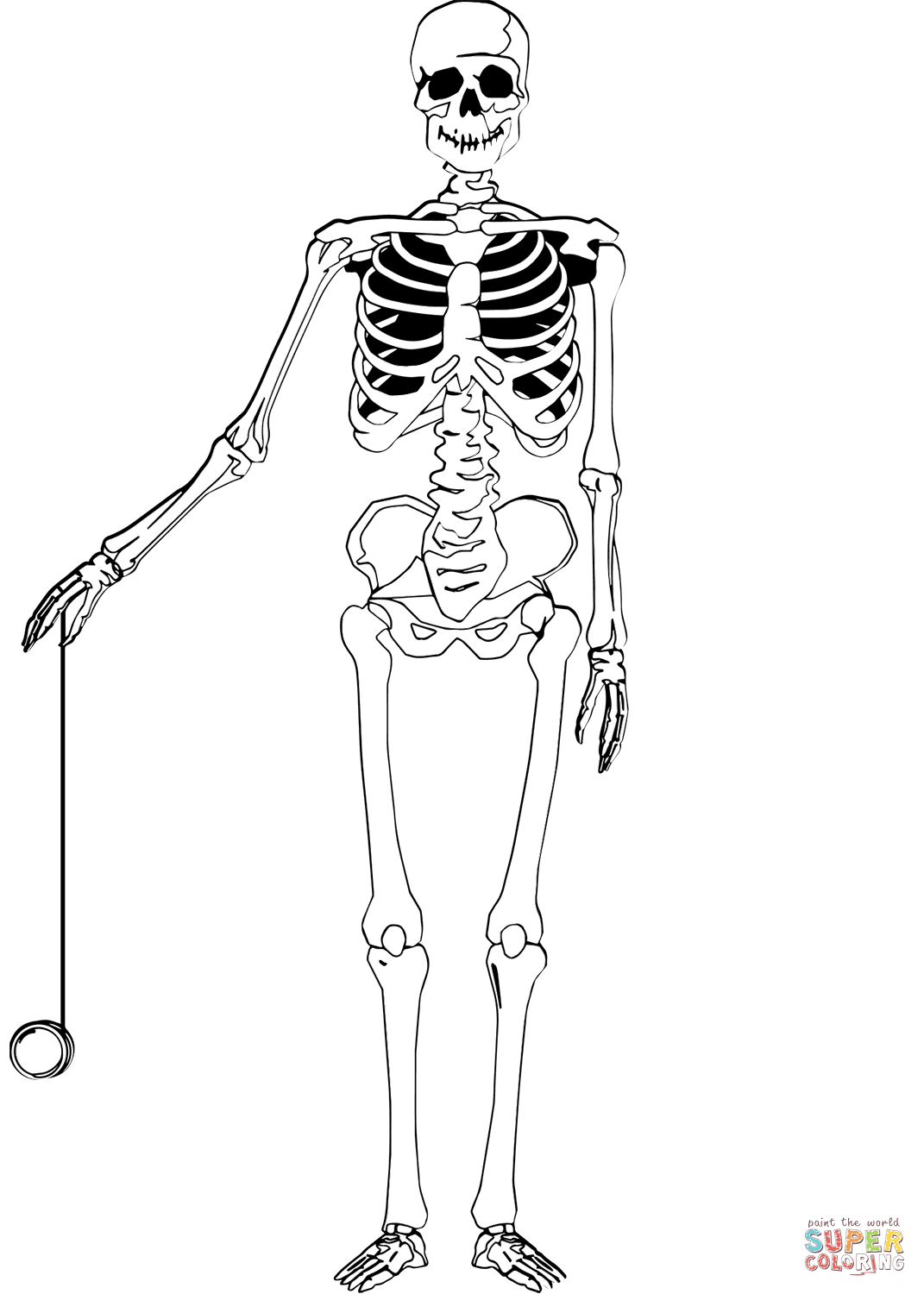 Human skeleton coloring page free printable coloring pages