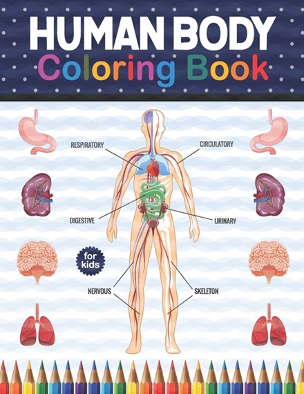 Human body coloring book for kids by shirkaylene publication