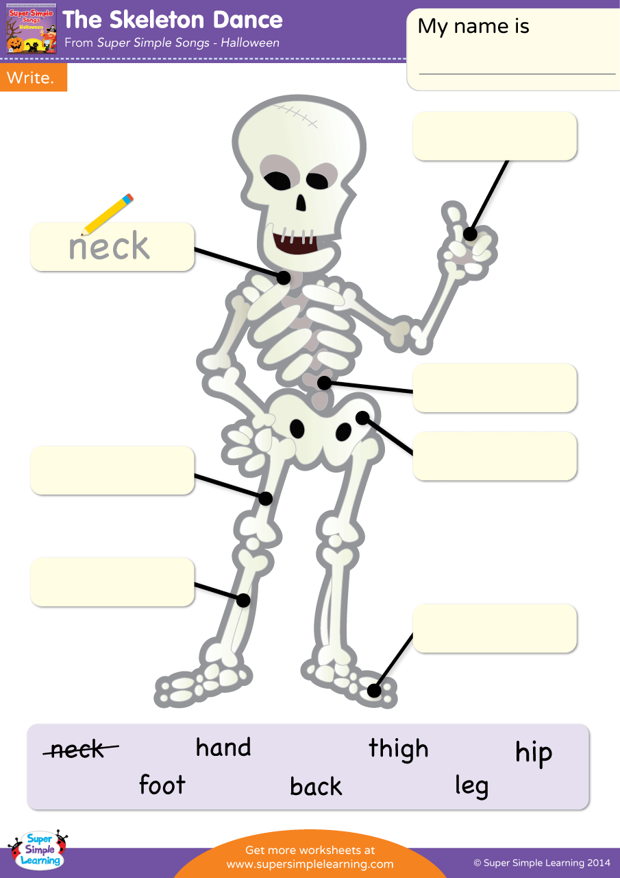 The skeleton dance worksheet