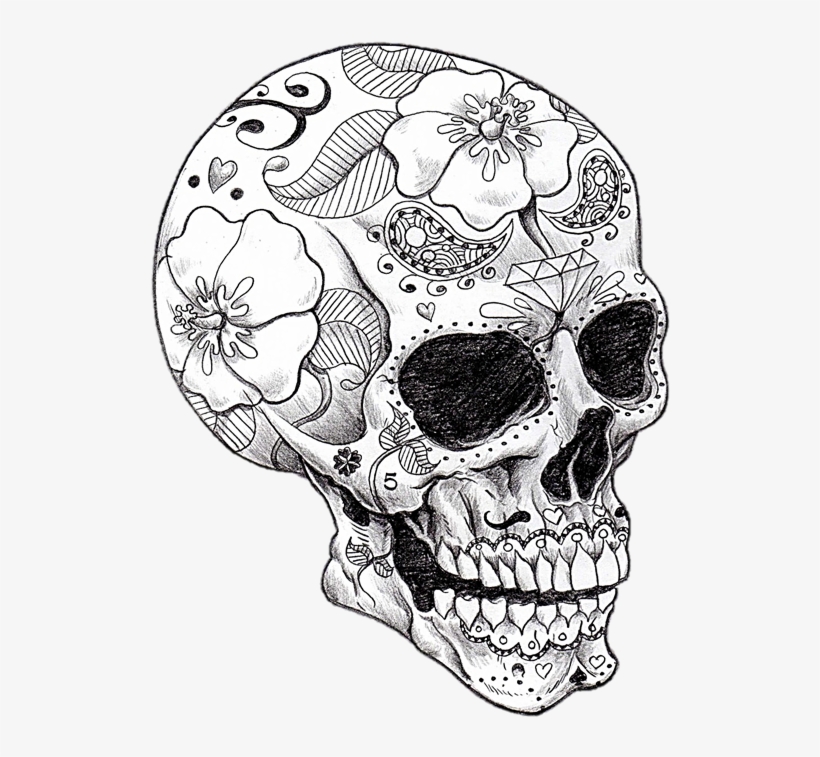 Vector library library cool art skeletons and spell