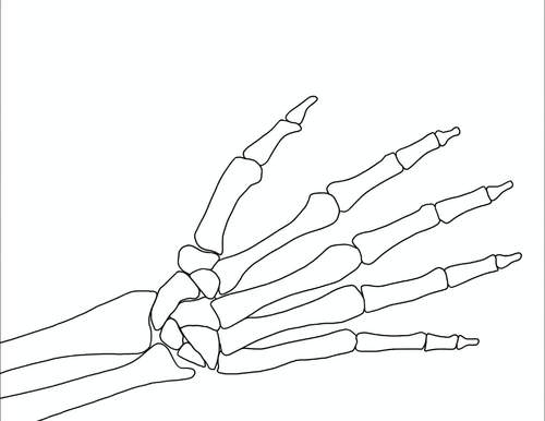 Hand anatomy coloring page by no lead pencil tpt