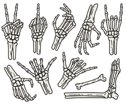 Skeleton hand gestures images â browse photos vectors and video
