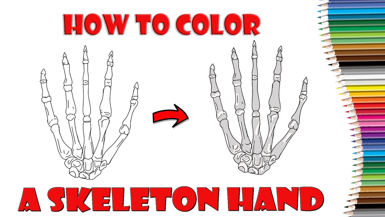 How to color a skeleton hand easy coloring guide for kids