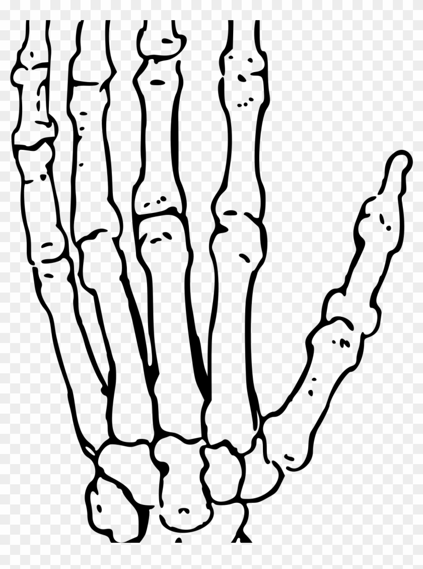 Bone coloring page bone coloring page gorgeous skeleton