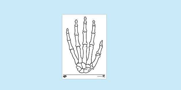 Skeleton hand louring page louring sheets