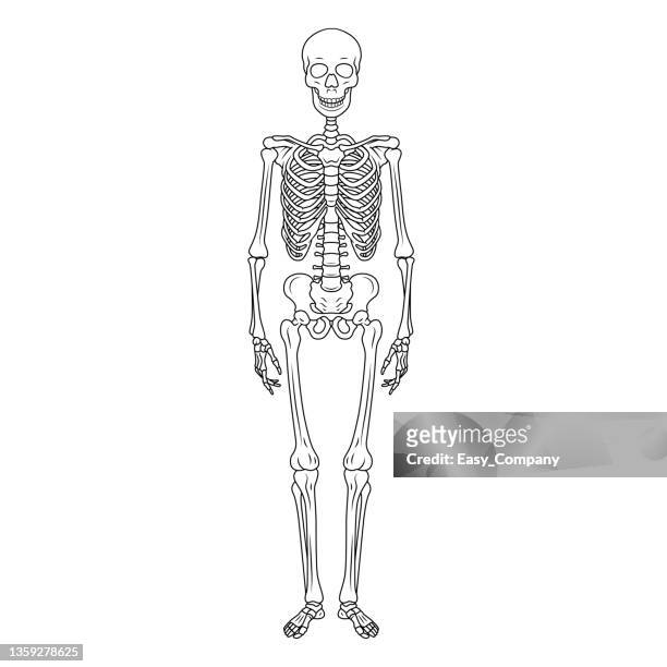 Skeleton hand icon stock photos high