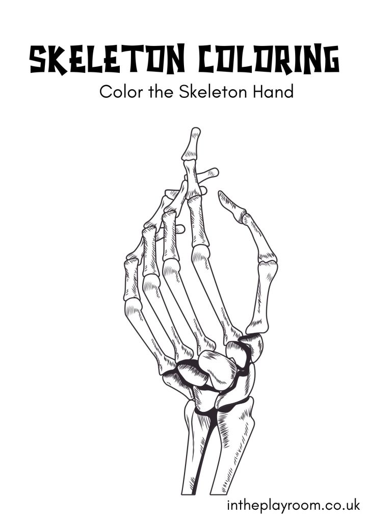 Free printable skeleton loring pages