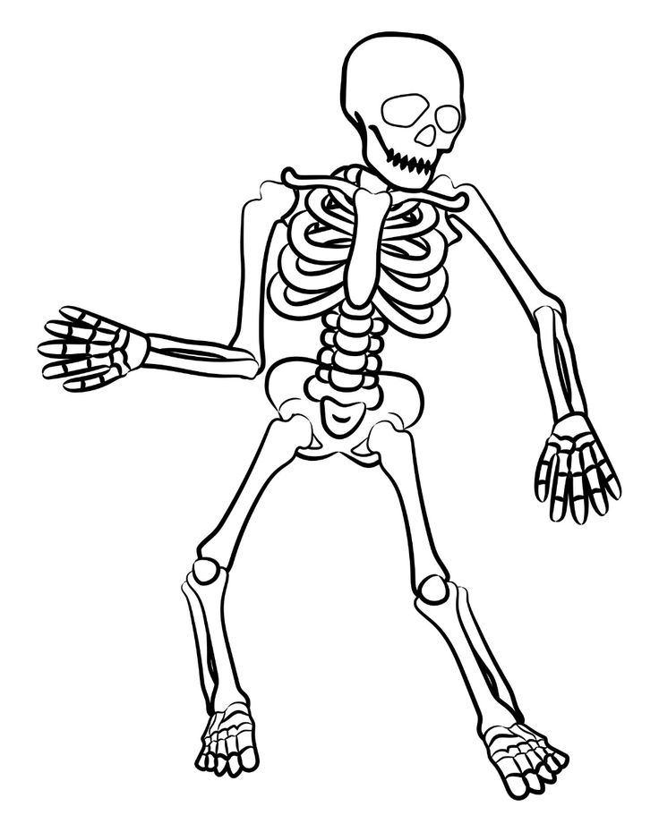 Halloween skeleton coloring pages halloween coloring pages halloween coloring skull coloring pages