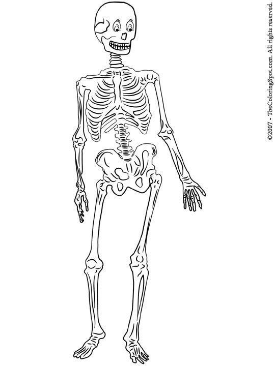 Skeleton coloring pages