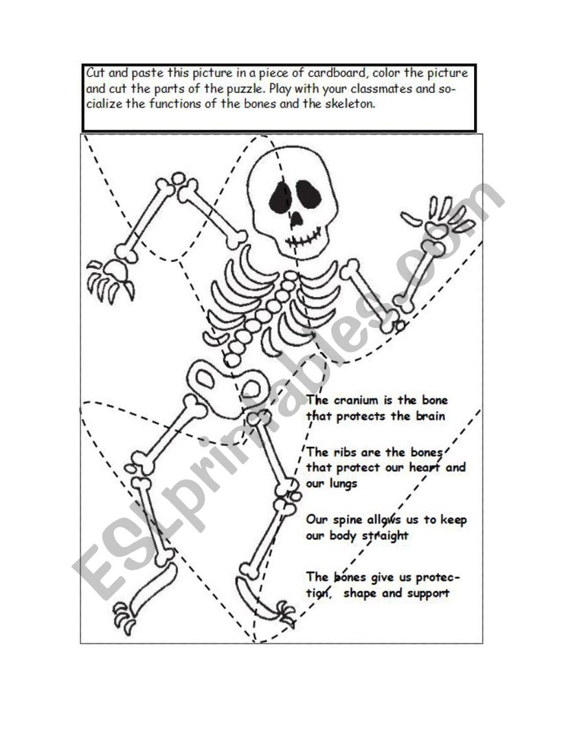 The skeleton puzzle