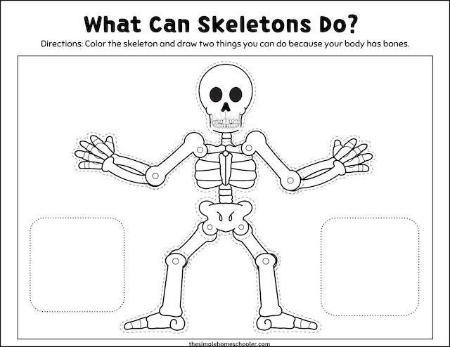 Free fun assemble a skeleton printables easy print
