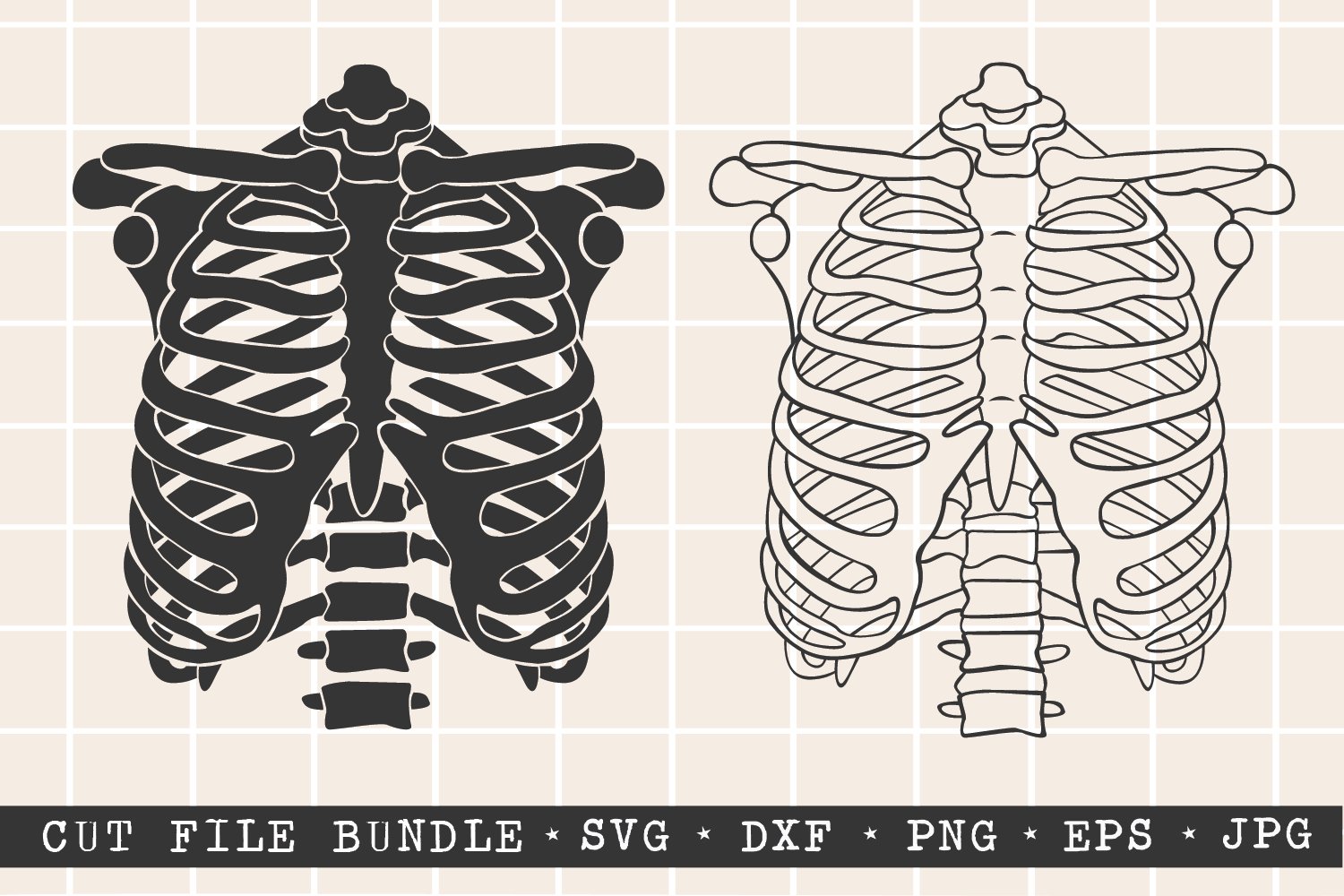 Rib cage svg bundle