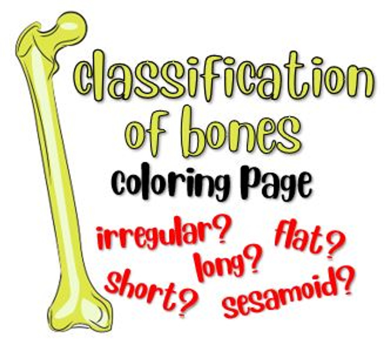 Classification of bones coloring page