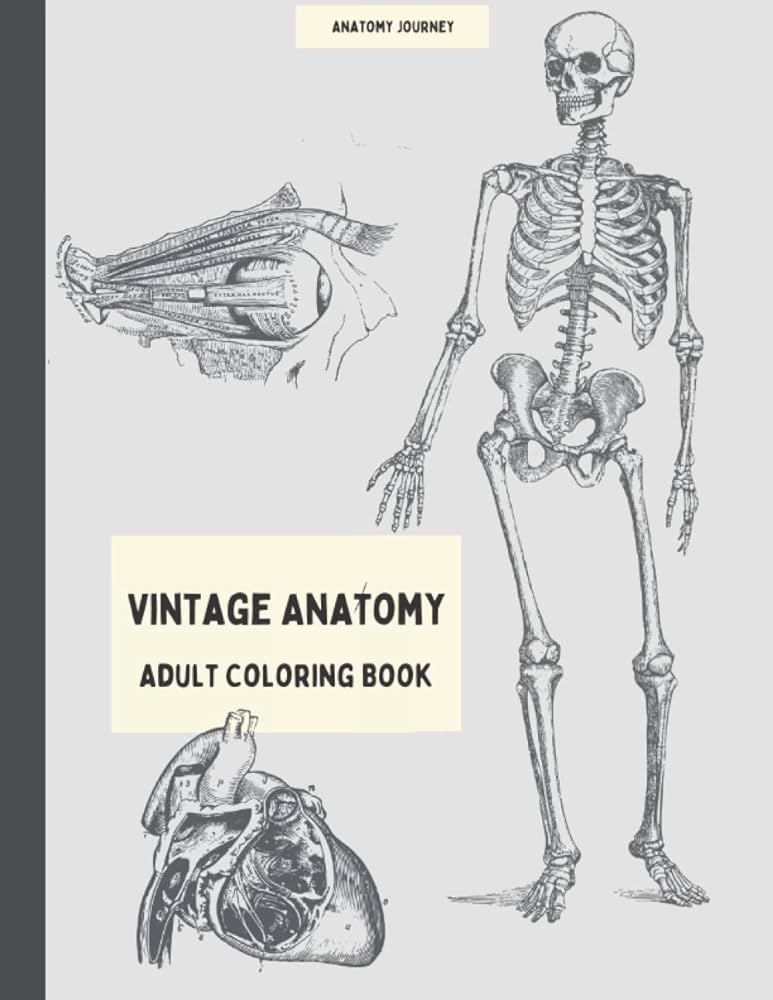 Vintage anatomy loring book for adults grayscale loring book