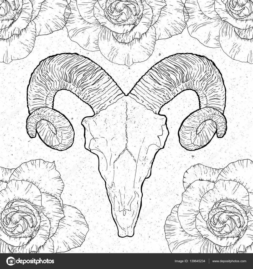 Ram skull vintage tyyliin valkoisella taustalla â kuvapankkivektori queenanngmail