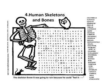 Halloween human skeleton bones word search or wordsearch tpt