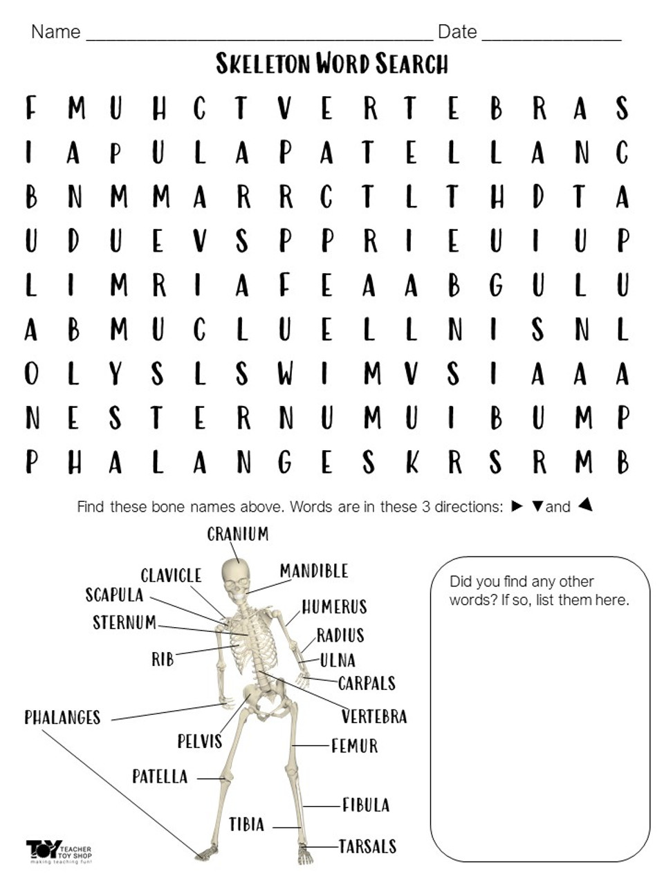 Skeletal system word search print and digital