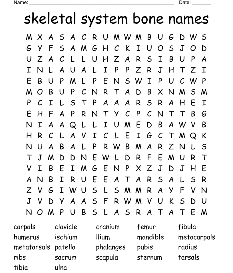 Skeletal system bone names word search