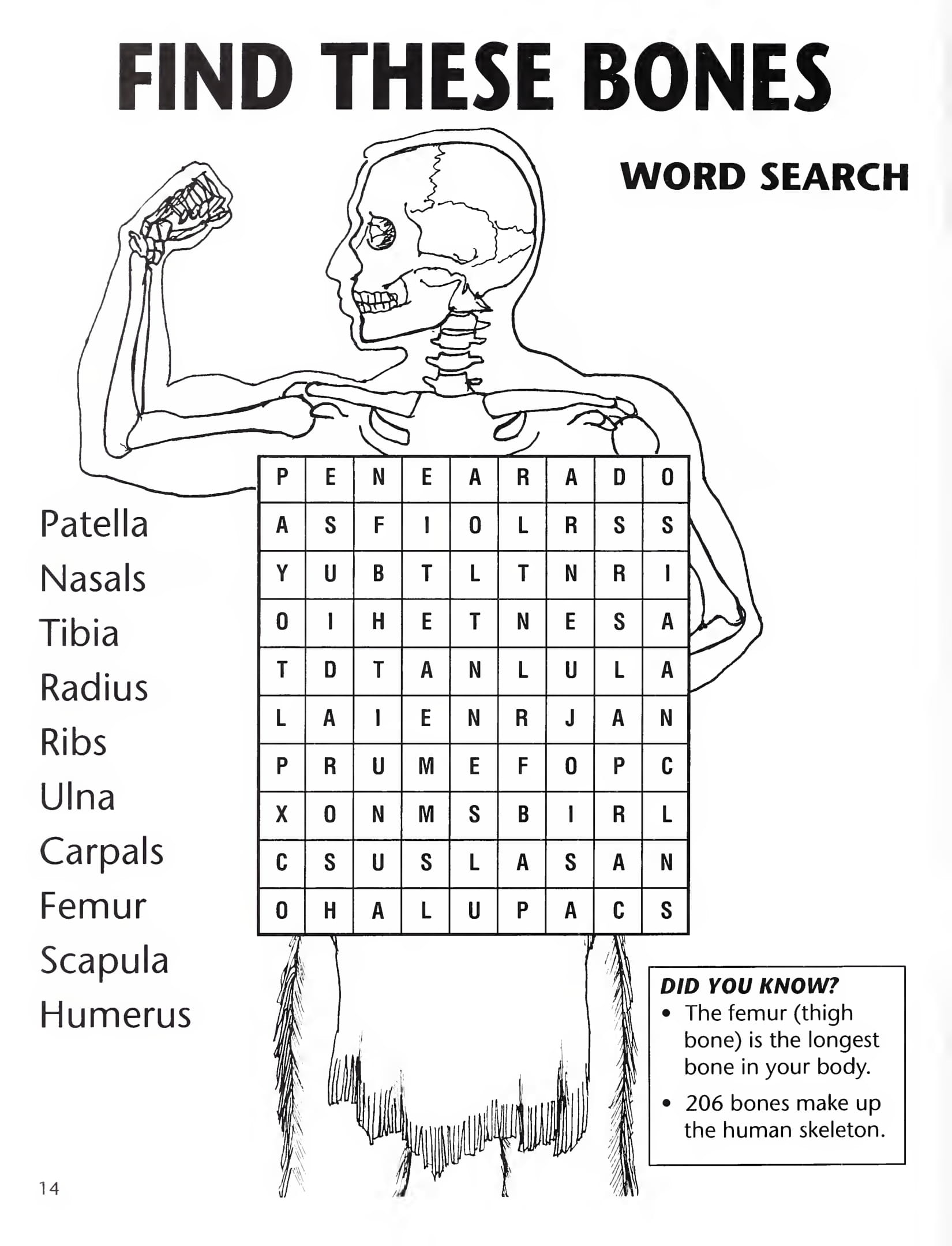 Find these bones word search free printable puzzle games