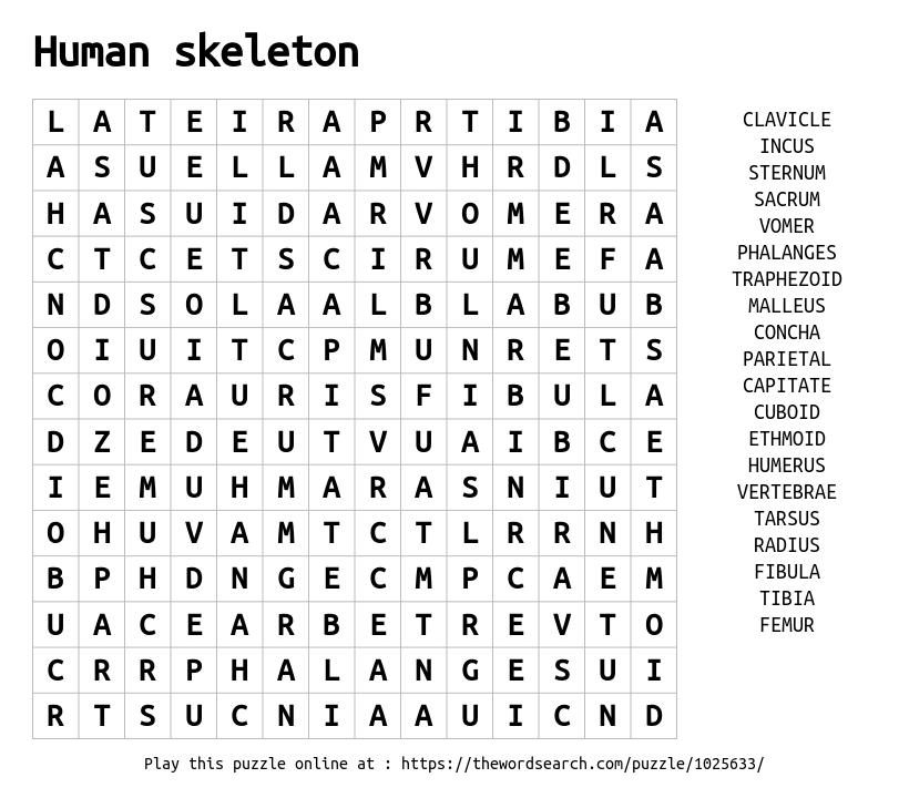 Download word search on human skeleton