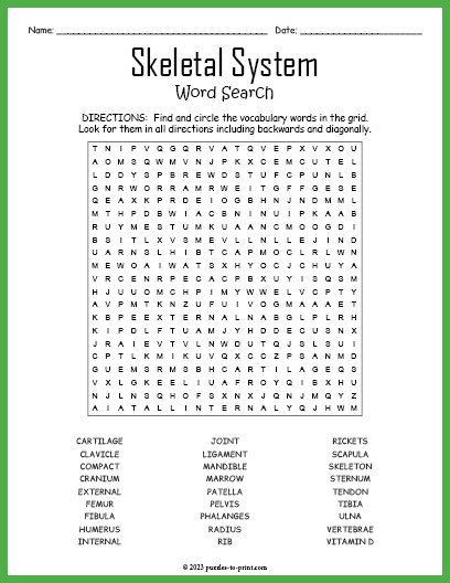Skeletal system word search