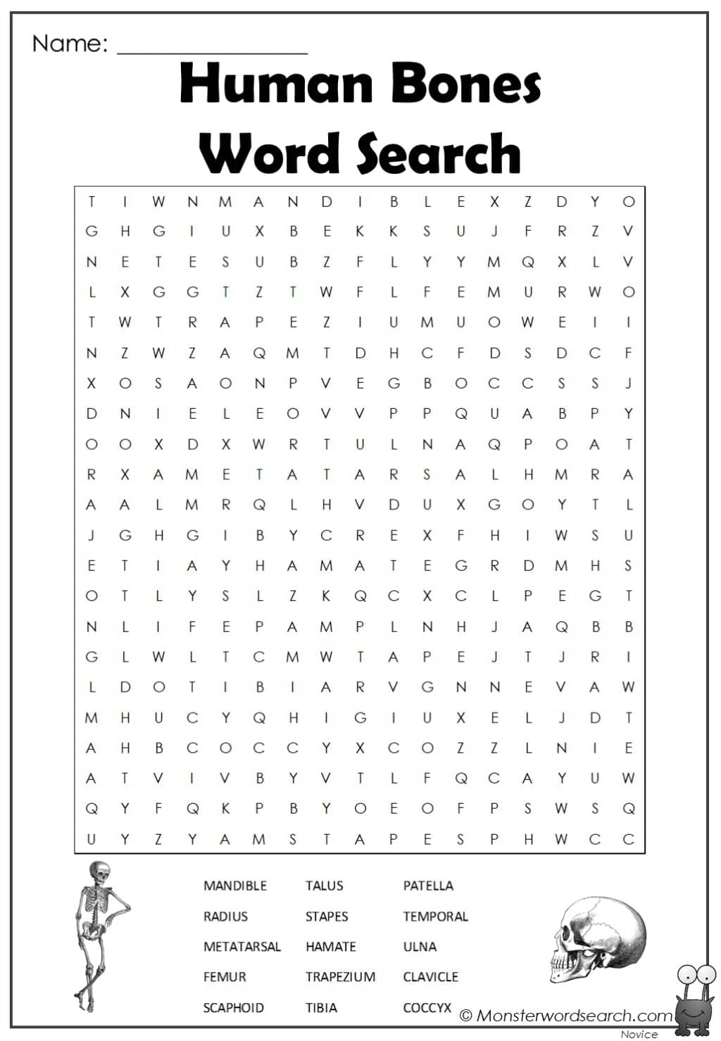 Human bones word search