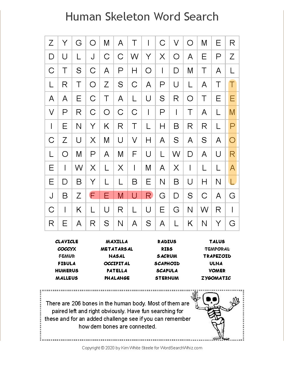 Human skeleton word search