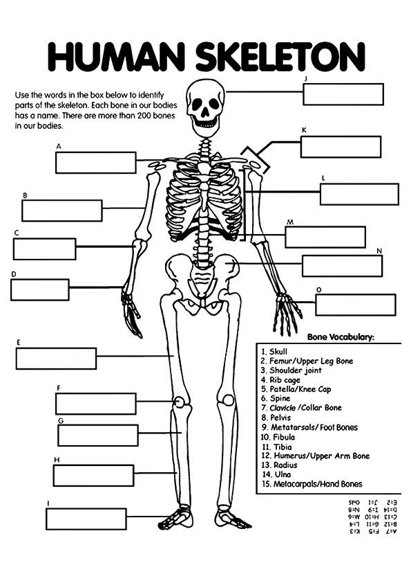 Print coloring image