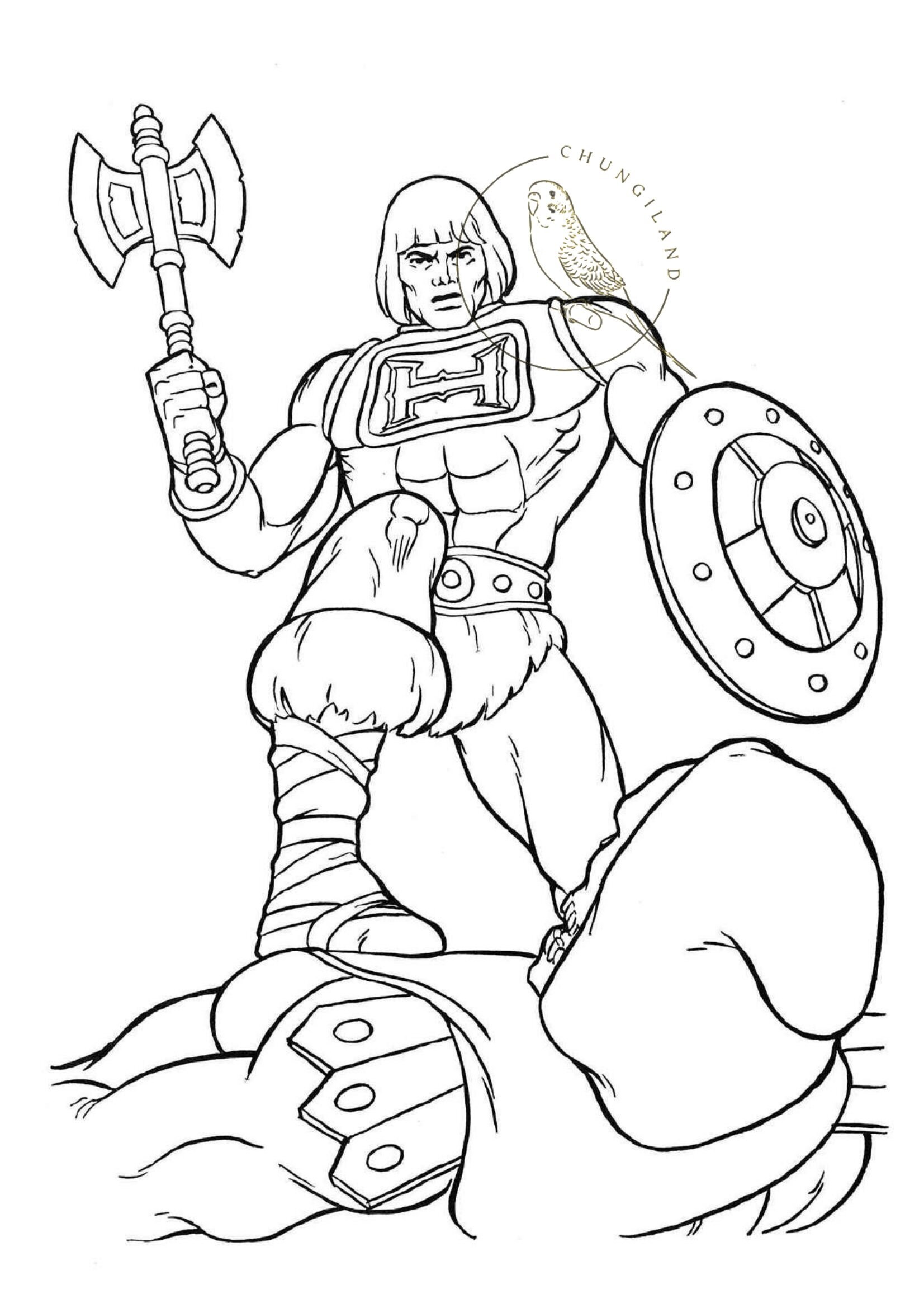 Vintage coloring book masters of the universe he