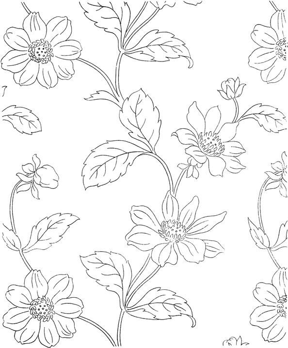Flower coloring page flower coloring pages colouring pages coloring pages