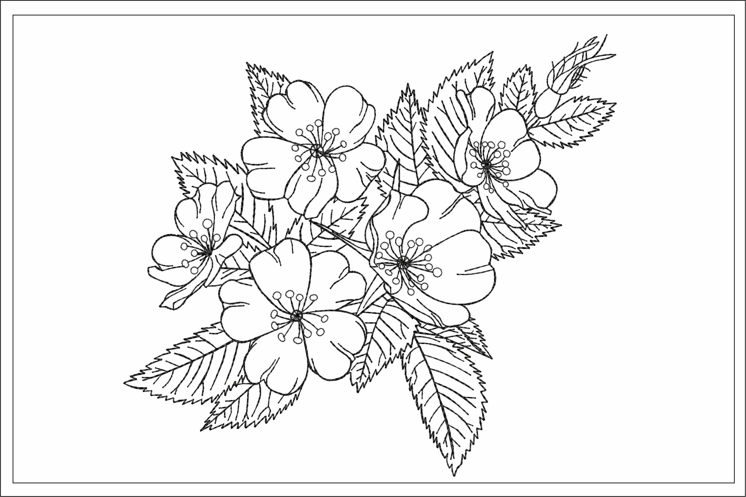 Wild black rose machine embroidery design