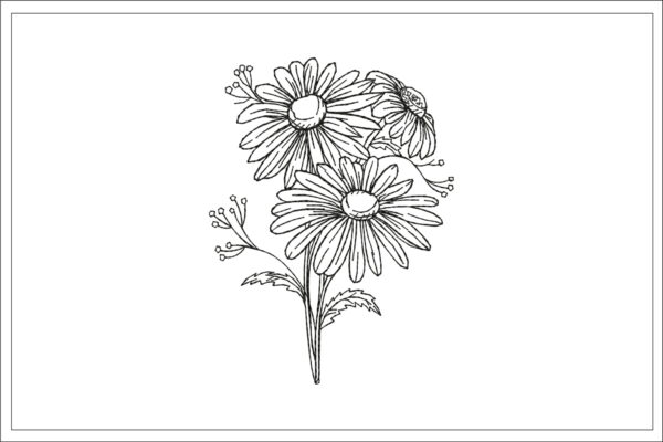 Daisy embroidery design â embroidery escape