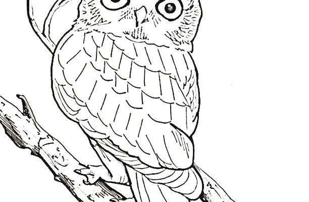 Tag nature colouring sheet scyap