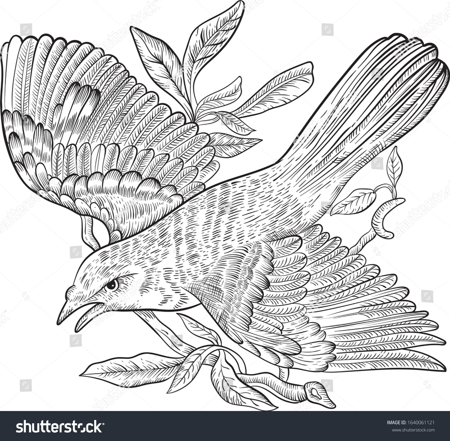 Line drawing nature spring bird on stock vector royalty free