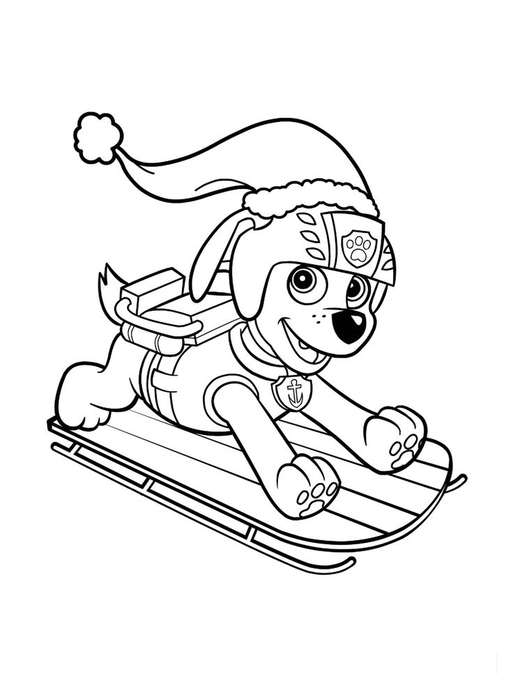 Paw patrol coloring pages zuma on sledge paw patrol coloring bird coloring pages paw patrol coloring pages