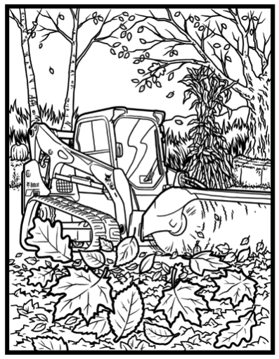 Bobcat coloring pages