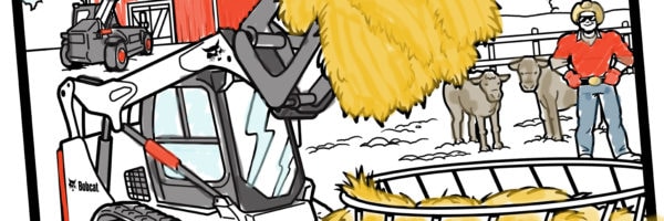 Bobcat coloring pages