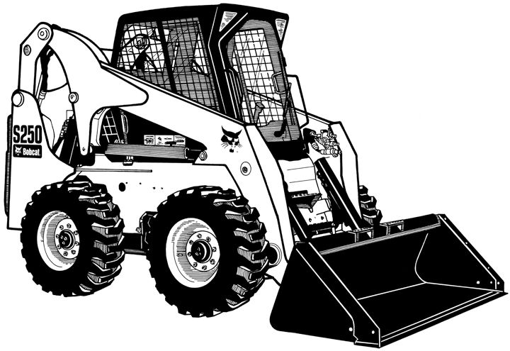 Bobcat