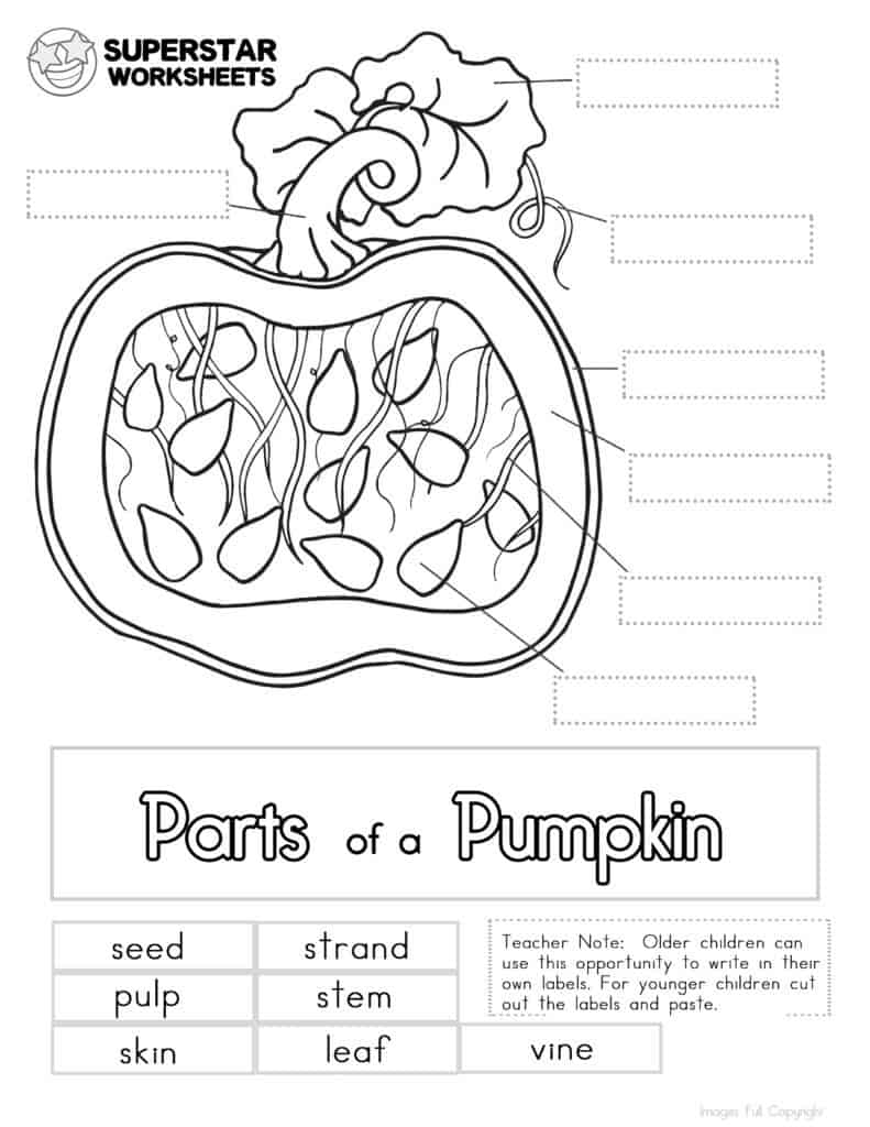 Pumpkin worksheet