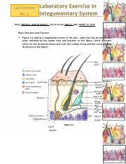Johnsonpgpdf