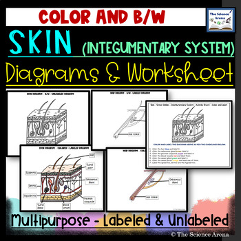 Skin diagrams