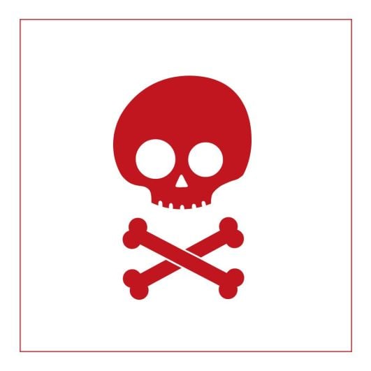 Skull and crossbones pillow tote stencil