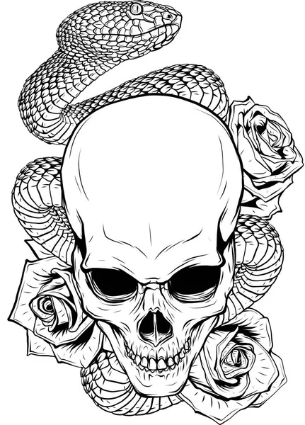 Vector illustration of skull roses and snake stock vector by deanzangirgmail