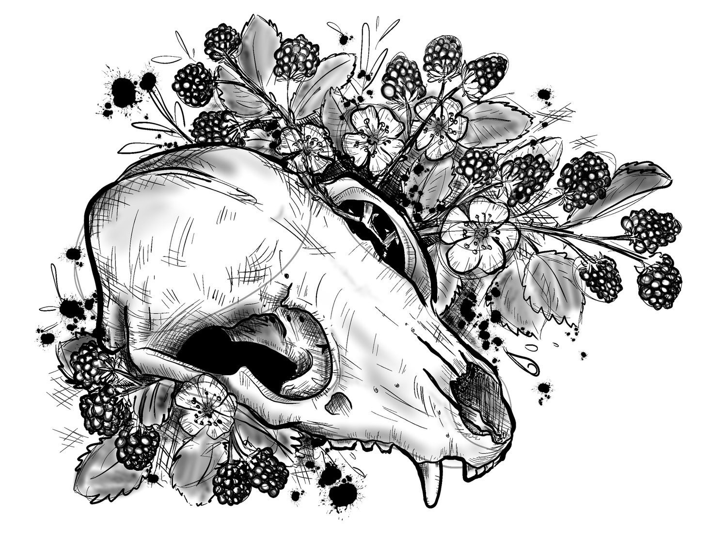 Raccoon skull coloring page â jamie walton art
