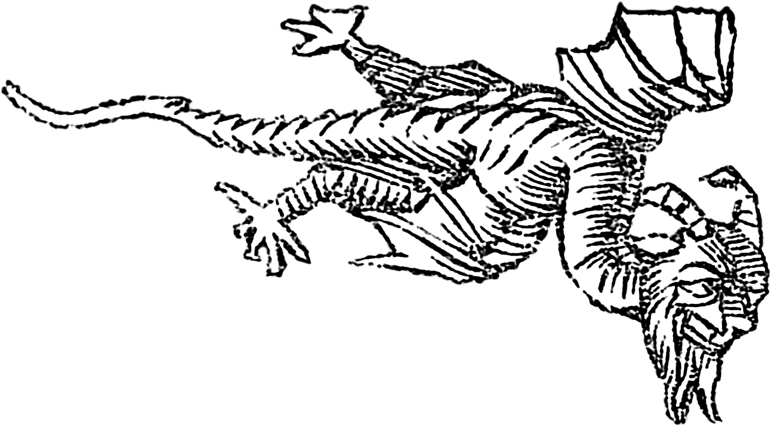 A probable drum ceremony described by olaus magnus in