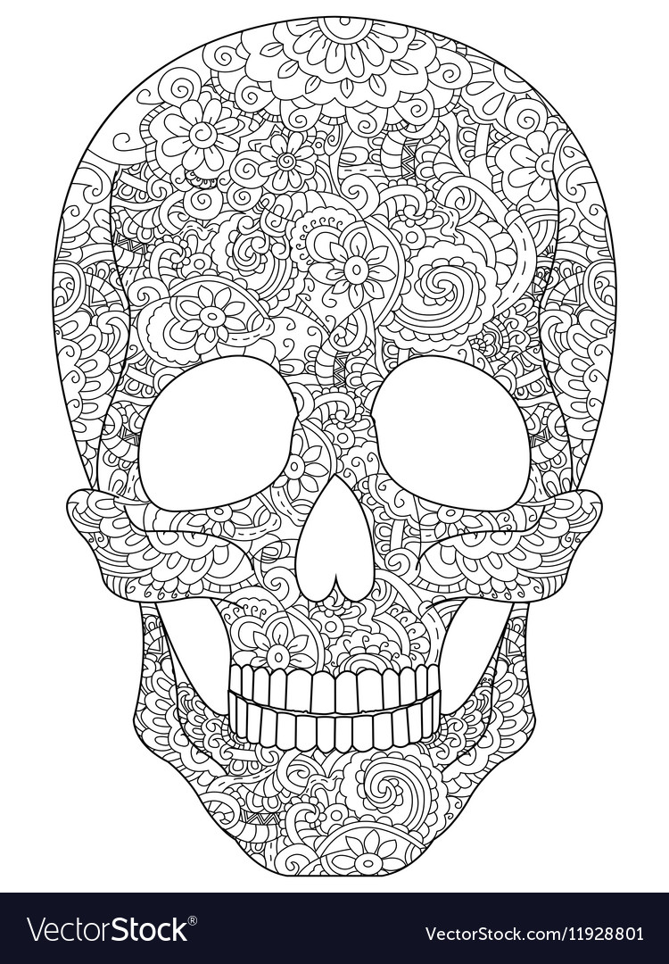 Skull coloring for adults royalty free vector image