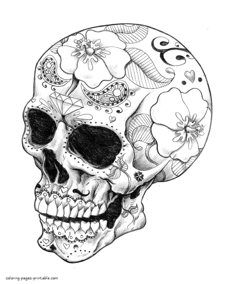 Adult coloring skulls coloring