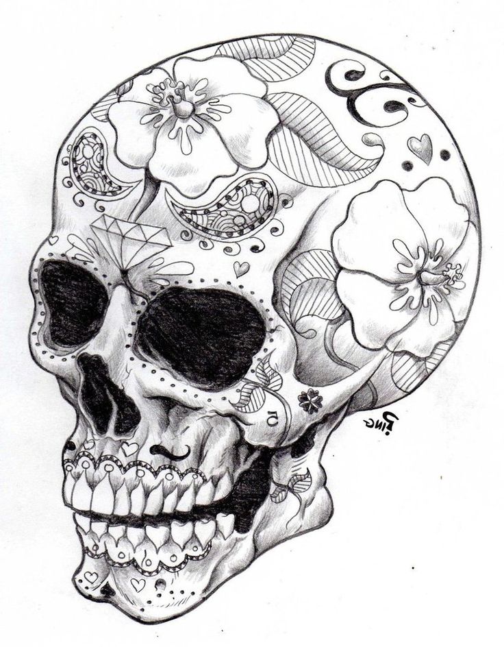Download or print this amazing coloring page sugar skull coloring imagesween pictures with roses day of the â skull coloring pages skull drawing skulls drawing