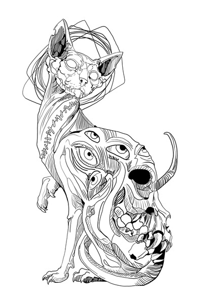 Adult skull coloring pages images stock photos d objects vectors