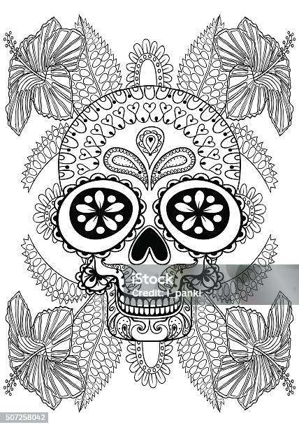 Hand drawn artistic skull adult coloring page a stock illustration